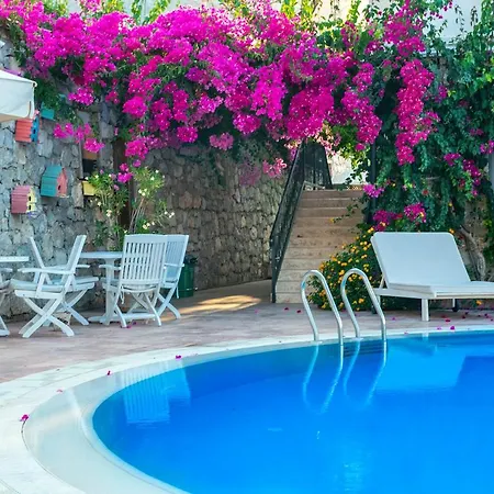 Swan - Sadece Yetişkin Otel