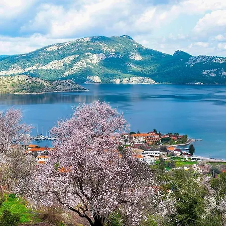 Swan - Sadece Yetişkin Otel 2*